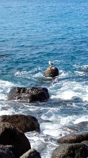 GC-Playa de Balito 2026-26.jpg